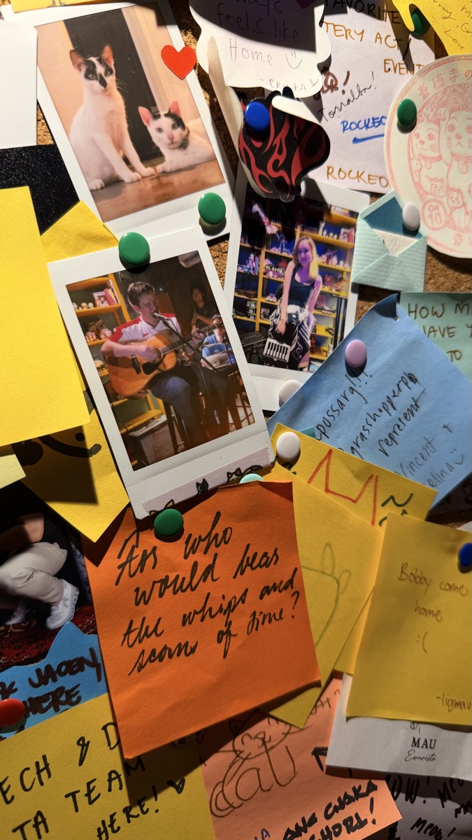 Cattery's guest-note board — polaroids of cats and performers pinned among handwritten post-its